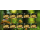 Wild mushrooms -SMALL SHEET KB(I)- (MNH)
