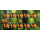 Wild mushrooms -SMALL SHEET KB(I)- (MNH)