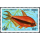 Ornamental fish (III)