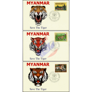 2nd International Forum for Tiger Population Preservation -MAXIMUM CARDS MC(II)-