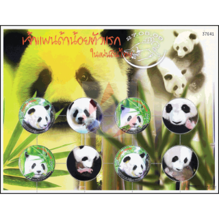 SONDERBOGEN: Geburt des 1. Pandababys in Thailand, Chiang Mai -PS(002)- (**)