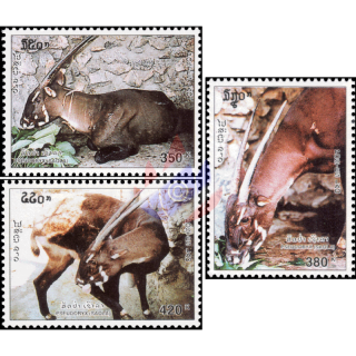 5th Anniversary of the discovery of a new species of antelope in Vietnam