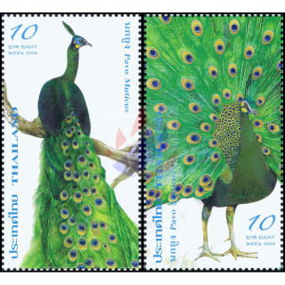 Peacock (MNH)