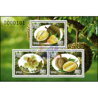 Durian fruit (Durio zibethinus) (394)
