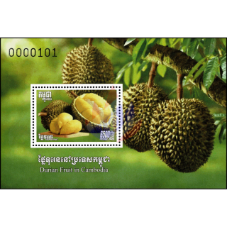 Durian Frucht (Durio zibethinus) (393A) (**)