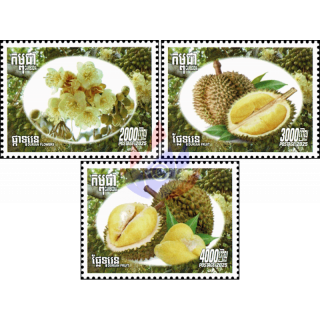 Durian fruit (Durio zibethinus)