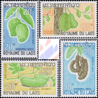 Local Fruits (MNH)