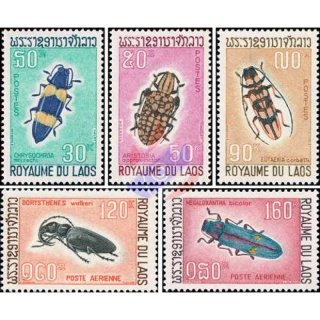 Native wood pests: Beetle