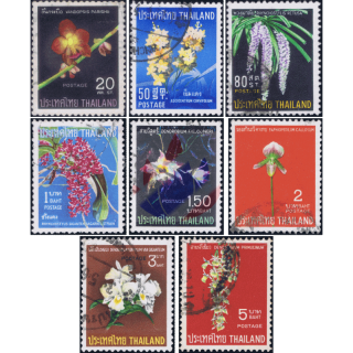 Thai Orchids (I) -CANCELLED (G)-