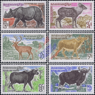 Indigenous Ungulates (MNH)