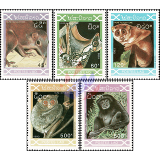 Indigenous Mammals (MNH)