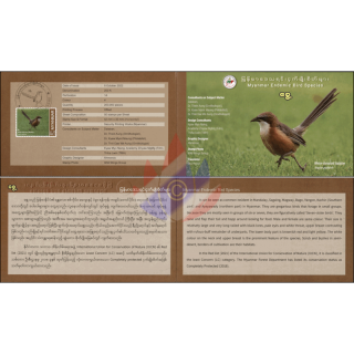 Endemic Birds: White-throated Babbler -MAXIMUM CARD