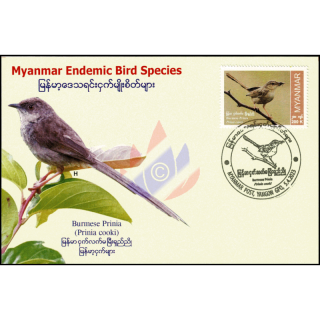 Endemic Birds: Burmese Prinia -MAXIMUM CARD