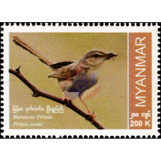 Endemische Vogelarten: Burmaprinie (**)
