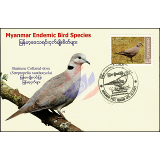 Endemic Birds: Burmese Collared-Dove -MAXIMUM CARD MC(II)-I-