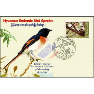 Endemic Birds: Jerdons Minivet -MAXIMUM CARD MC(II)-