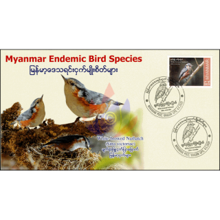 Endemic Birds: White-Browed Nuthatch -FDC(II)-I-