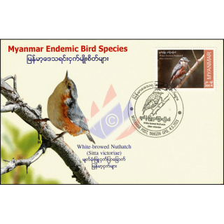 Endemic Birds: White-Browed Nuthatch -MAXIMUM CRAD MC(I)-