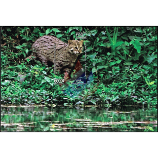 Fishing Cat -SPECIAL SOUVENIR SHEET- (343B)