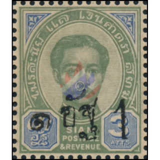 Definitive from the 1889 Issue, with black overprint (17)