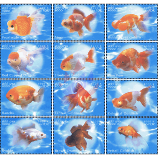 Goldfish Breeds