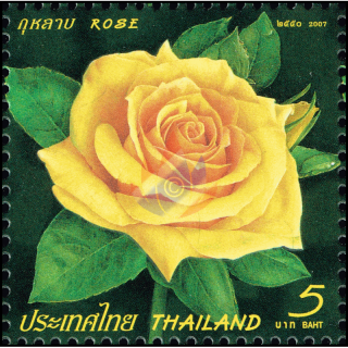 Greeting Stamp 2007: Rose (VI)
