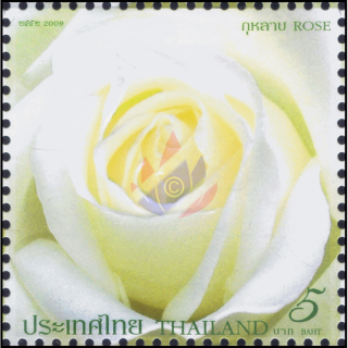 Greeting Stamp 2009: Rose (VIII)