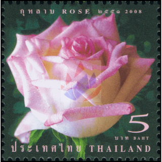 Greeting Stamp: Rose (7th Series)