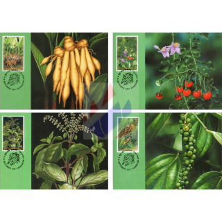 International Letter Writing Week 2001: Spice Plants -MAXIMUM CARDS-