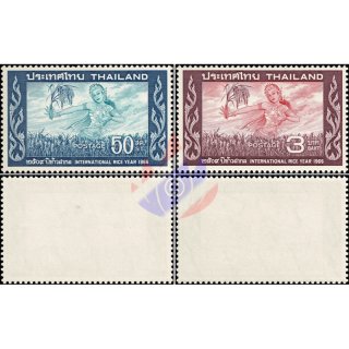 International Rice Year (MNH)