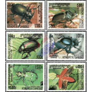 Beetle (III) (MNH)