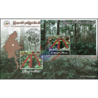 Coffee plantation in the Pyin Oo province (9) -FDC(I)-