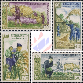 Freedom from Hunger (MNH)