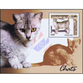 Cat breeds (288)