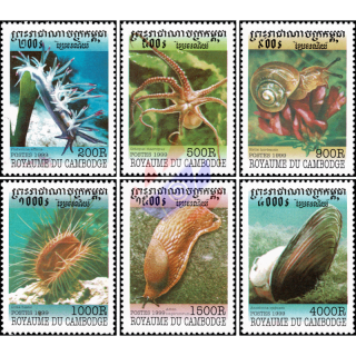 Mollusks (MNH)