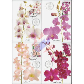 Orchid: Dendrobium Varieties -MAXIMUM CARDS MC(I)-