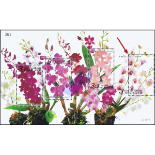 Orchideen: Dendrobium-Zchtungen (265) -ERROR / VERZAHNT- (**)