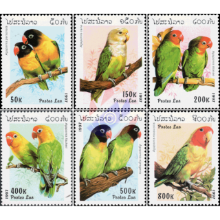 Parrots of the genus Inseparable (MNH)