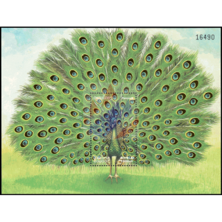 Pfau (179)