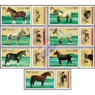 Horse Breeds