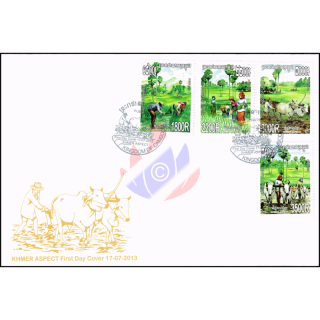Rice Cultivation -FDC(I)-