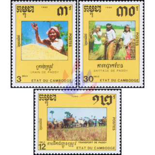 Rice Cultivation (MNH)