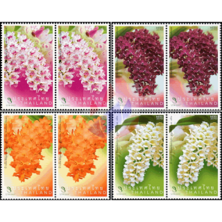 Rhynchostylis Orchideen -PAAR- (**)
