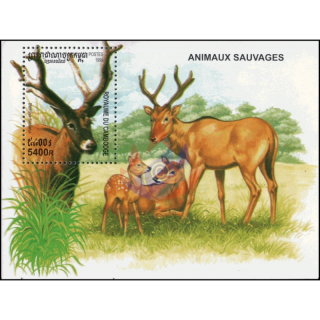 Mammals (261A) (MNH)