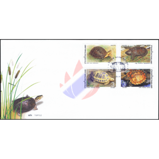 Turtle -FDC(I)-