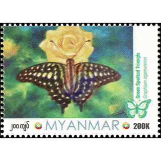 Butterflies: Green Spotted Triangle (Graphium agamemnon)