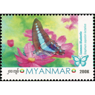 Butterflies: Common Bluebottle (Graphium Sarpedon Luctatius) (MNH)