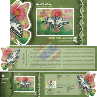 Schmetterlinge: Schwalbenschwanz (Papilio machaon) -FL(I)-