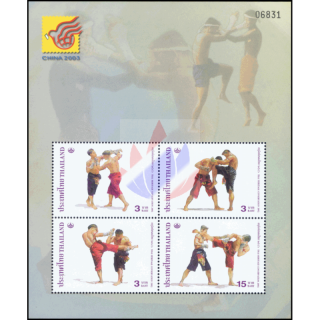 CHINA 2003, Mianyang: Thai-Boxing (168I)