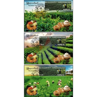 Tea plantation in the North Shan Province -MAXIMUM CARD MC(I-III)-